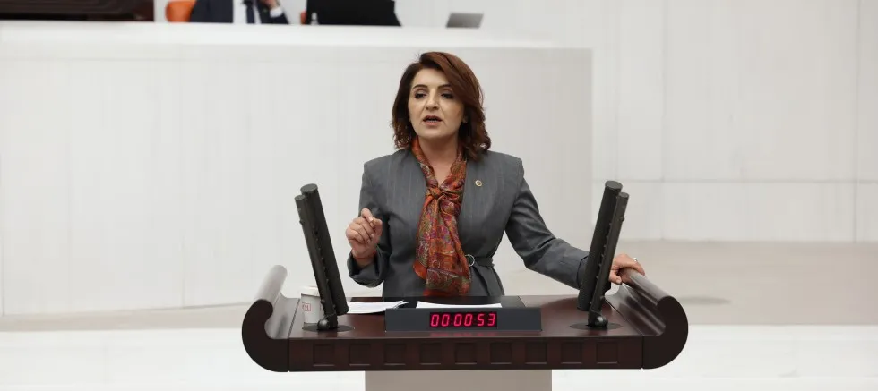 CHP Mersin Milletvekili Gülcan Kış: “Aileyi desteklemek yerine koleksiyonculara hatıra ürettiler.”